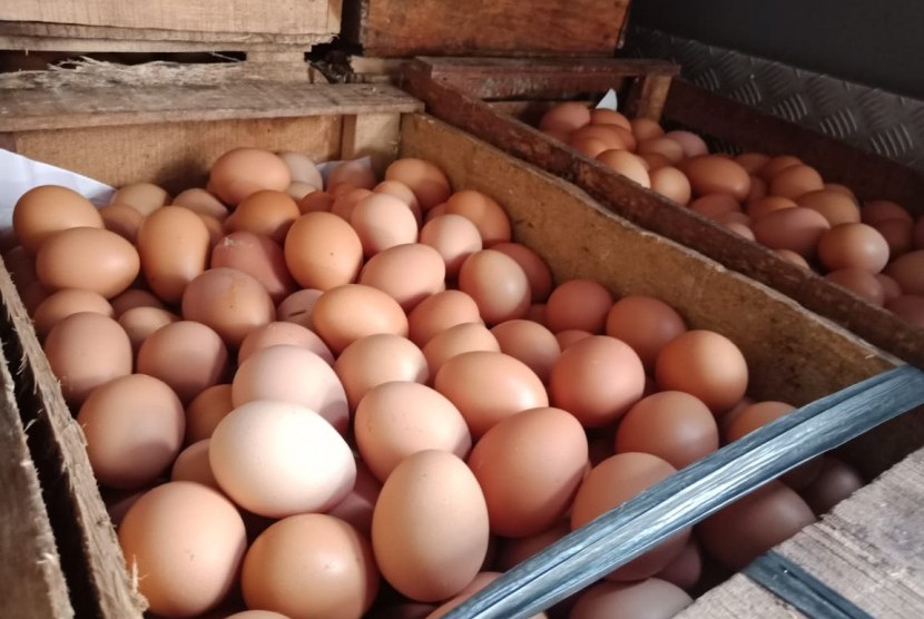 Telur ayam 1 kg